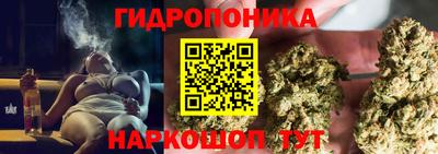 твердый Моздок